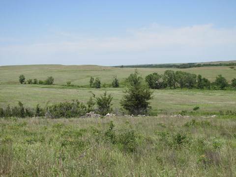 Mowed and gravel path make up the Southwind Nature Trail.