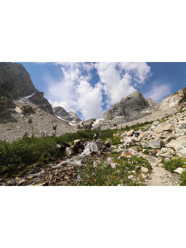 A creek runs through an alpine meadow blooming with wildflowers in front of two mountain peaks.