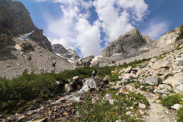 A creek runs through an alpine meadow blooming with wildflowers in front of two mountain peaks.