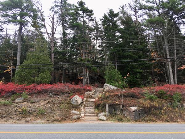 A trailhead with vegetation around it near a busy road with power lines