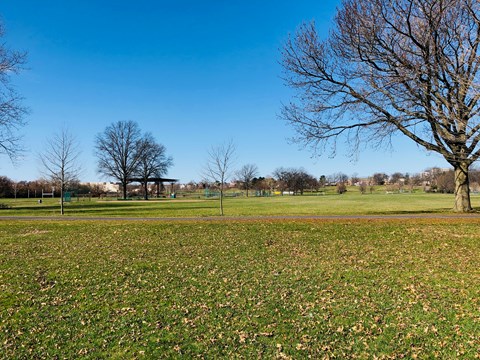 Early spring at Colt Park with green grass and recreational facilities in the background.
