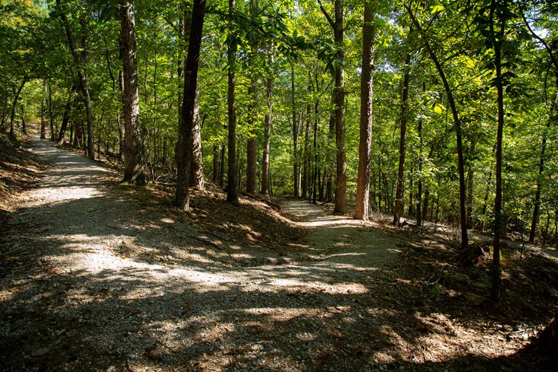 An Overview: Hot Springs and North Mountain Trails