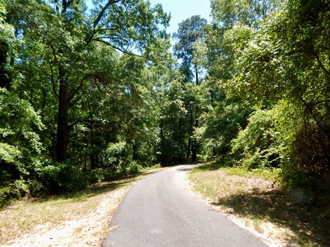 A paved trail through woods.