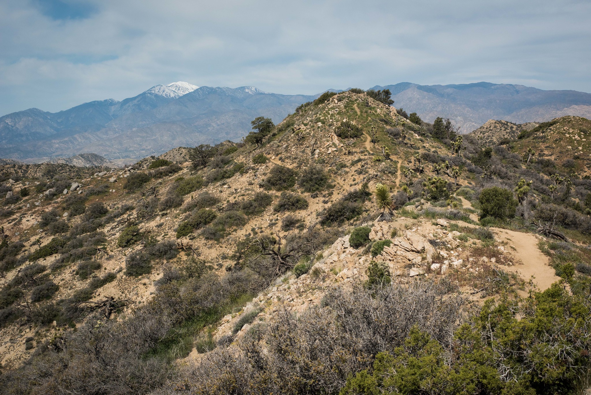 Warren Peak Trailhead