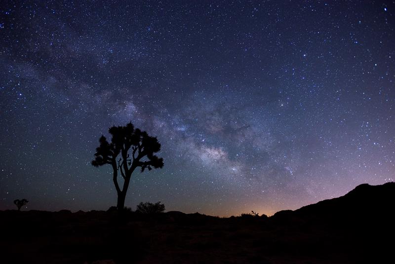 Stargazing at Joshua Tree