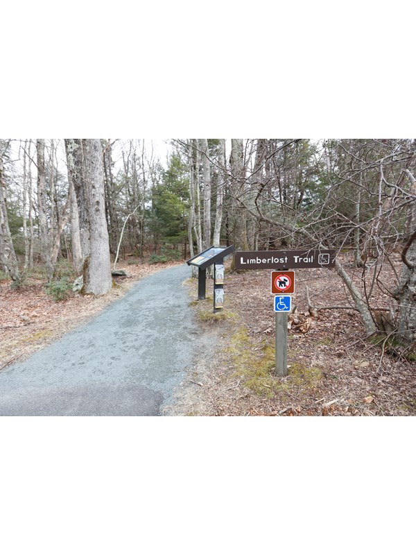 A gravel trail leads into the forest, past several educational signs