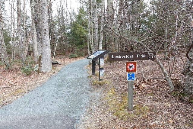 A gravel trail leads into the forest, past several educational signs