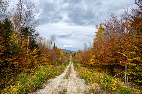 Orange and yellow fall colors on the trees line the double track IAT trail.