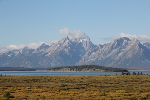 A mountain range above a flat meadow filled with vegetation.