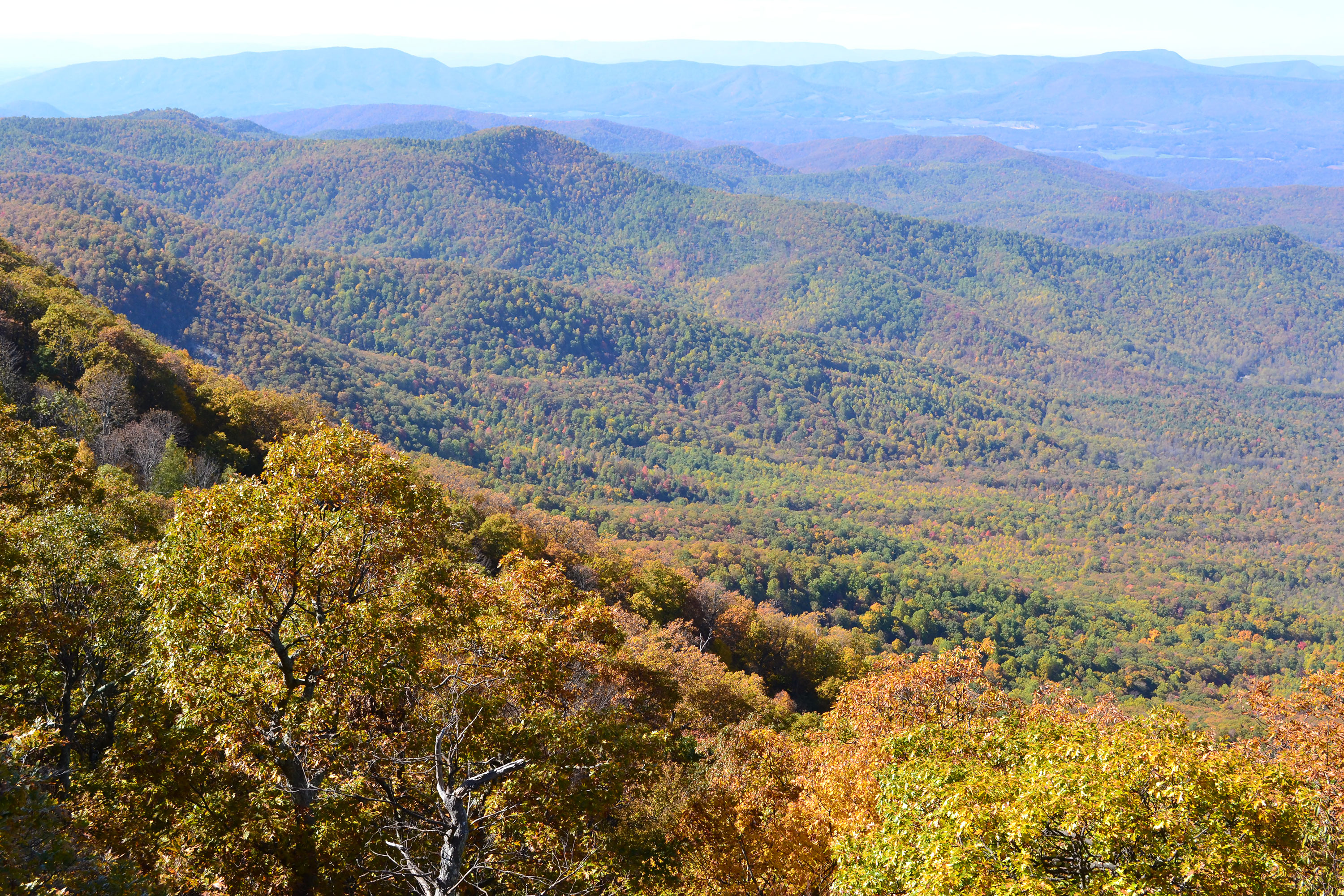 Thunder Ridge Overlook