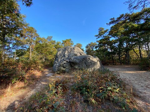 A large glacial boulder surrounded by a trail and shrubs against a blue sky.
