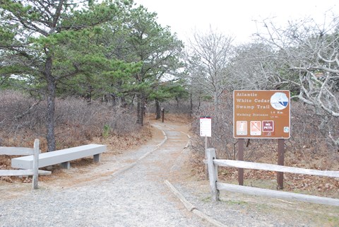 Entrance to the Atlantic White Cedar Swamp trail, signage and a trail surrounded by trees.
