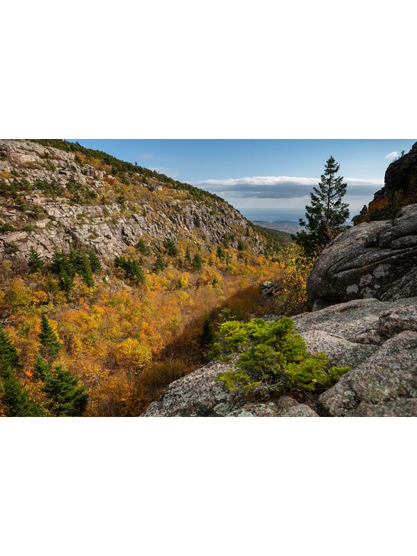 Steep granite mountain face is partially covered with deciduous and evergreen trees in fall color.