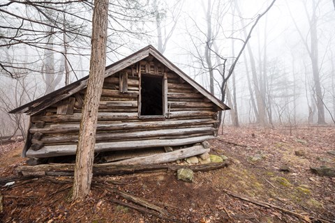 An old, decaying log building is shrouded in fog in the middle of the woods.