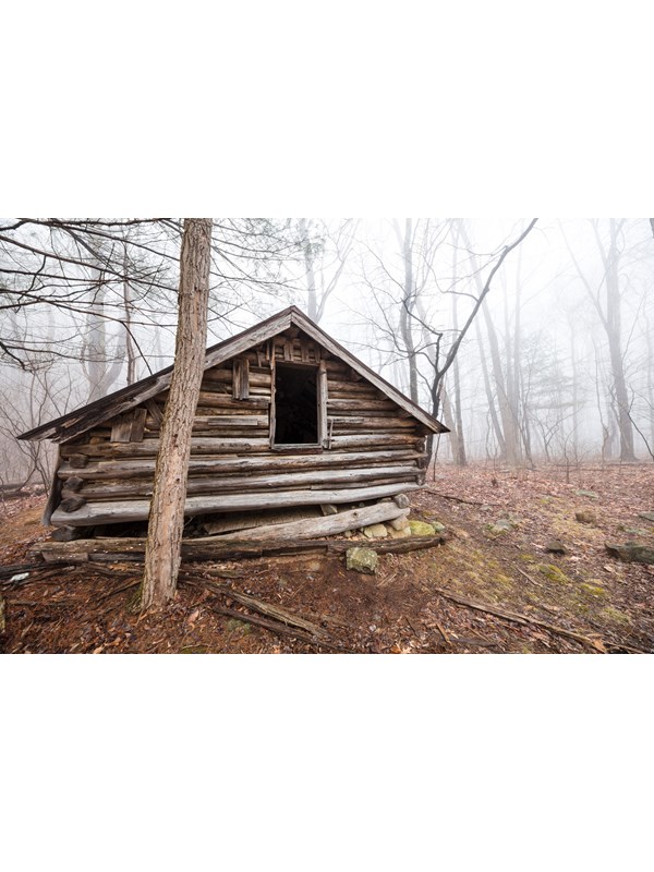 An old, decaying log building is shrouded in fog in the middle of the woods.