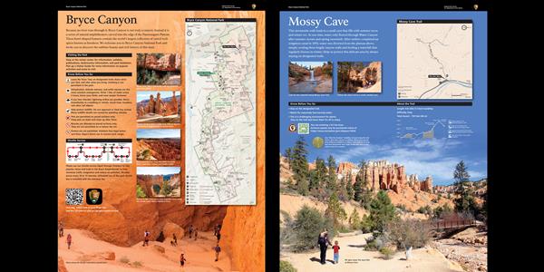 Informational signage providing orientation on the Mossy Cave area.