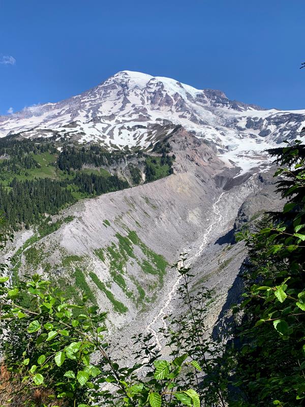 Glacial valley below towering Mount Rainier. A thin river begins at the end of a rocky glacier.
