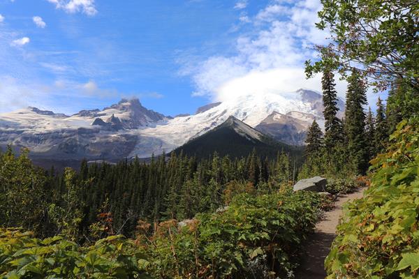 A view from a trail of a glaciated mountain peak rising above a forested valley.
