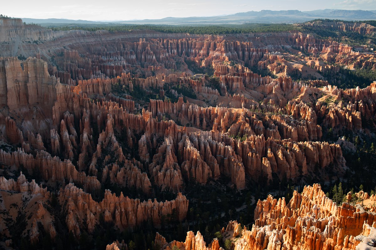 A red rock and forested landscape filled with rock spires