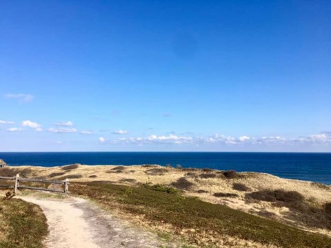 Overlook at Bearberry Hill; views out from the hilltop to the sweeping ocean with shrubs.