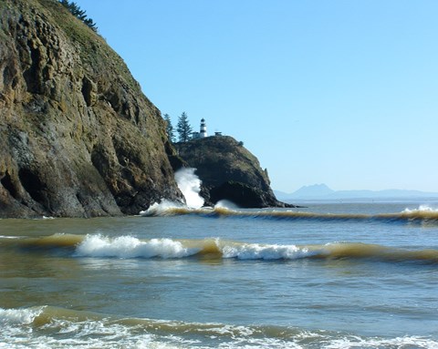 Cape Disappointment Landscape