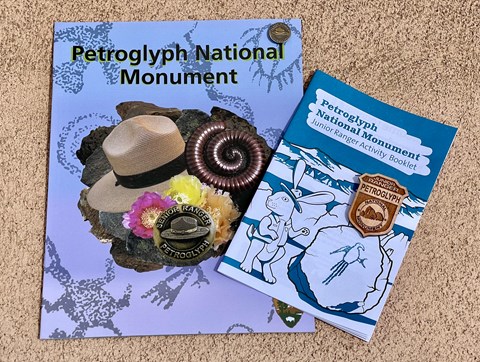 Junior and Senior Ranger activity books and badges.