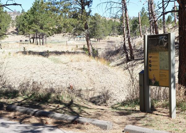 Post #1 A "Lively" Place