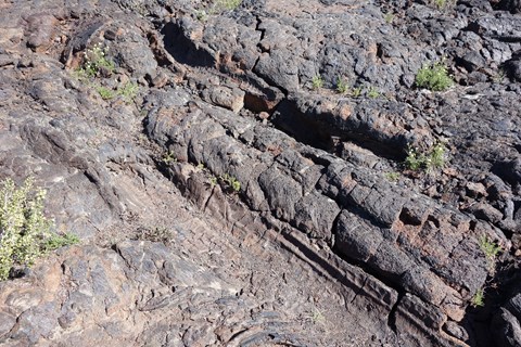 dark rock featuring the impression of two fallen tree trunks