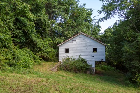 An old, white barn sits under a canopy of green trees