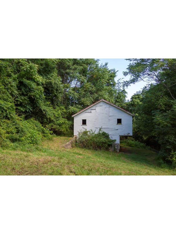 An old, white barn sits under a canopy of green trees