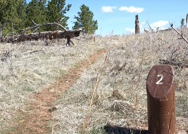 Post #2 Diversity as a Way of Life