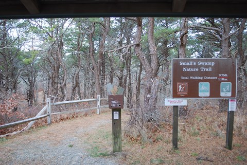 Entrance to the Small's Swamp trail. Brown sign and trail maps on a post. Trail leads into forest.