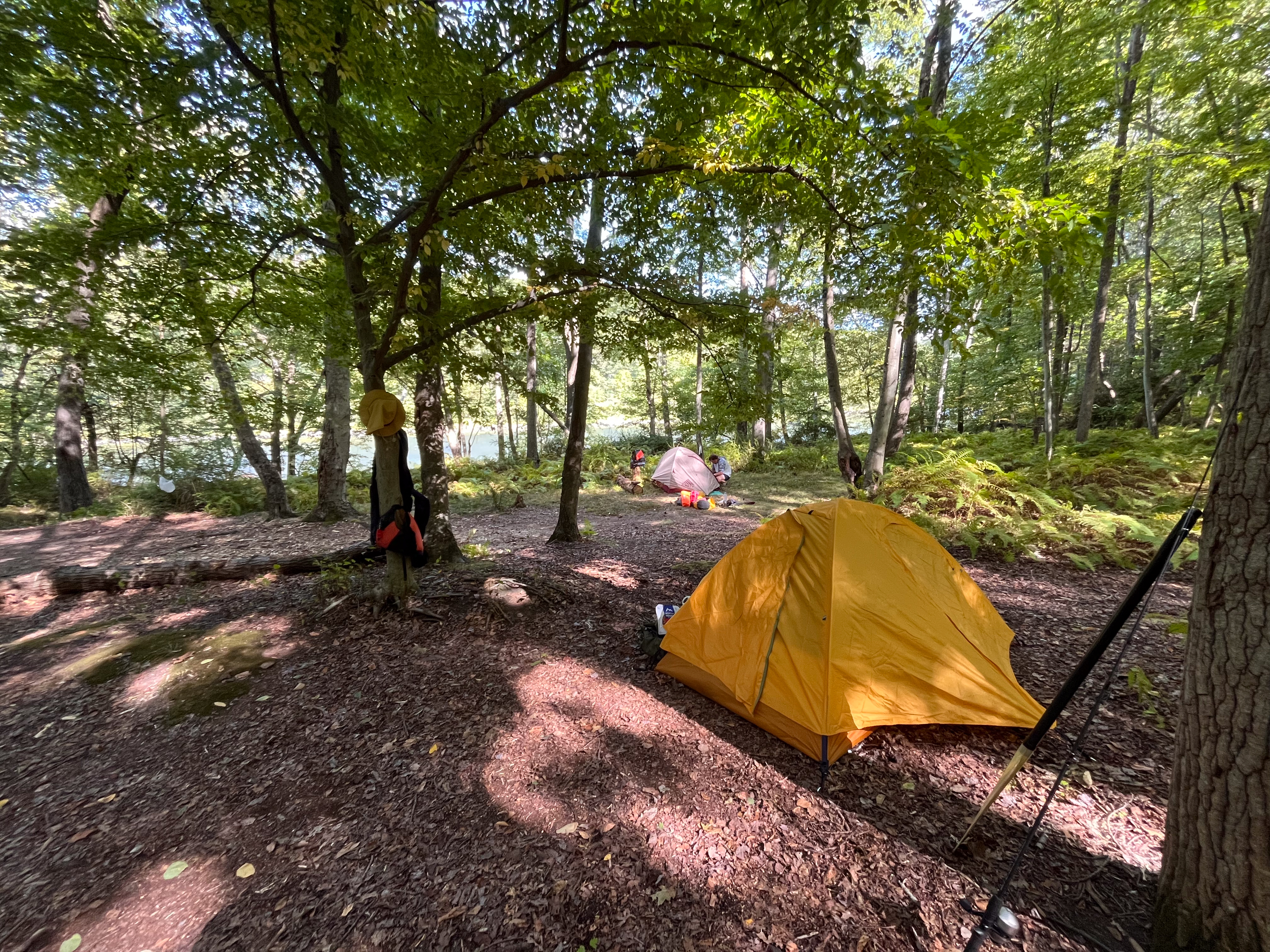 Primitive Camping at Buckhorn Natural Area
