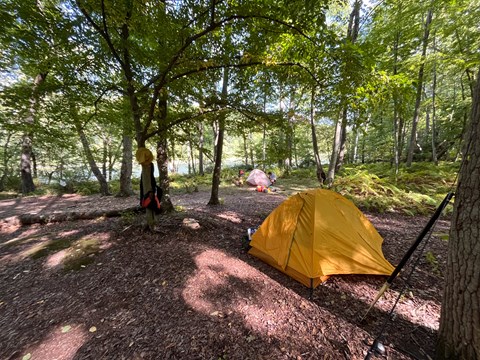Forested camping area surrounded by trees with view of river. Yellow tent in foreground.