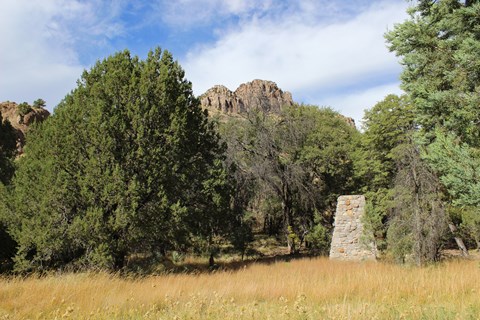 Meadow surrounded by trees and a stone chimney