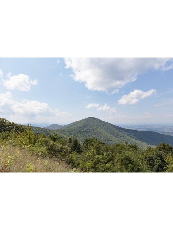 A mountain peak in the distance.