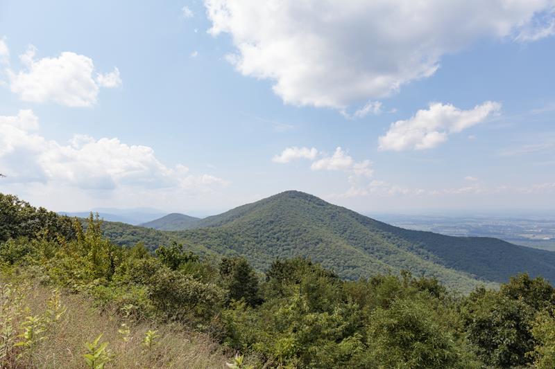 Turk Mountain