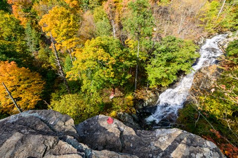 An overhead view of a waterfall running through green trees.