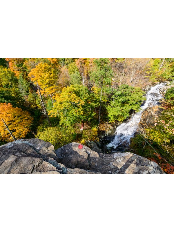 An overhead view of a waterfall running through green trees.