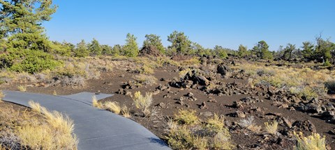 a paved trail in an open pine woodland covered with dark rocks and patches of tall grass