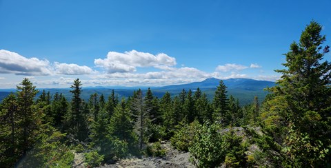An expansive viewpoint from the top of a forested mountain. It is a sunny blue sky day.