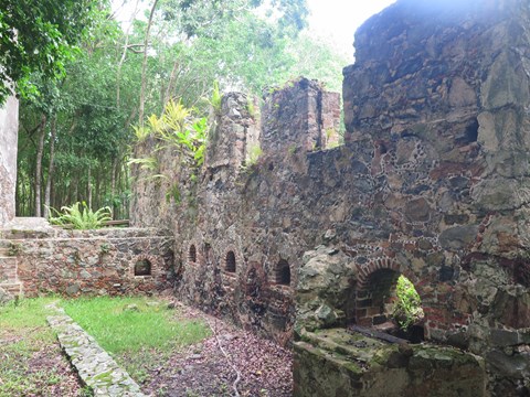 Cinnamon Bay Plantation Ruins