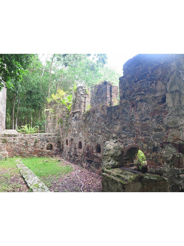 Cinnamon Bay Plantation Ruins