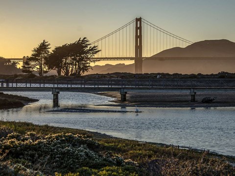 Photo at dusk of the marsh at Crissy Field with the Golden Gate Bridge in the background