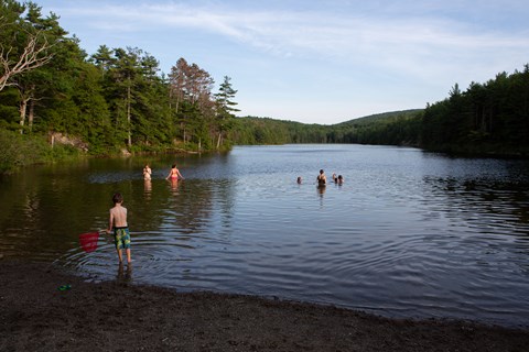 Visitors swimming in a lake with small beach area