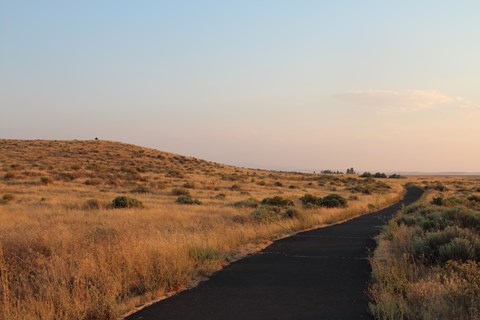 A path leads through a grassy field in warm light.
