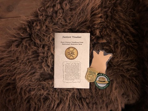 Beige booklet, gold shield badge, Buffalo outline and sticker with ranger had laying on buffalo fur.