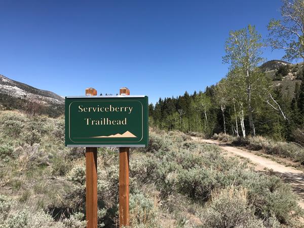 Green trailhead sign with sage colored brush surrounding it.