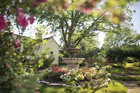 A court fountain sits in the middle of a rose garden