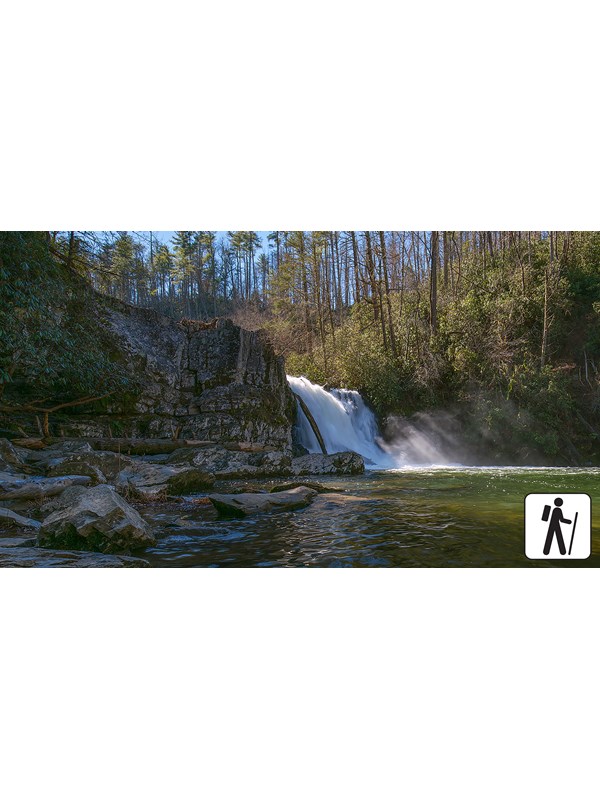 Waterfall flows over rocks and pours into greenish colored pool with rocks and shrubs around it.